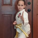 CKD Academy of Martial Arts