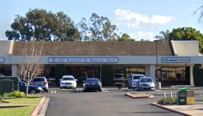 CKD Academy of Martial Arts Picture 2