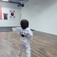 Louisville Tang Soo Do ico