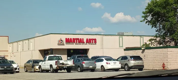 Awesome Martial Arts Academy Picture 1