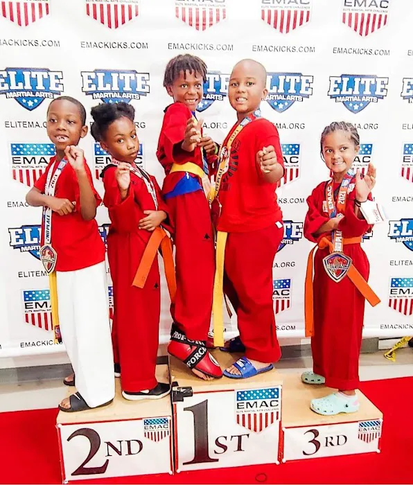 Tiger Strike Martial Arts Academy Picture 7