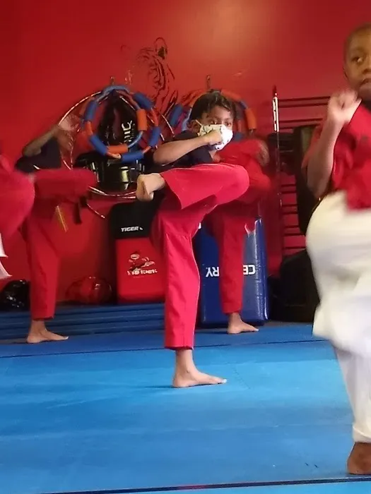 Tiger Strike Martial Arts Academy Picture 6