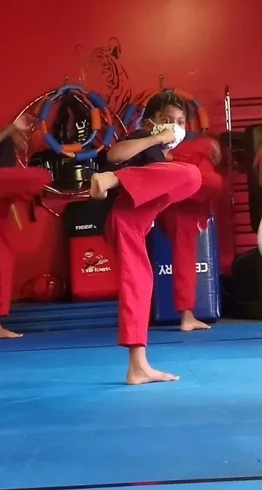 Tiger Strike Martial Arts Academy Picture 9