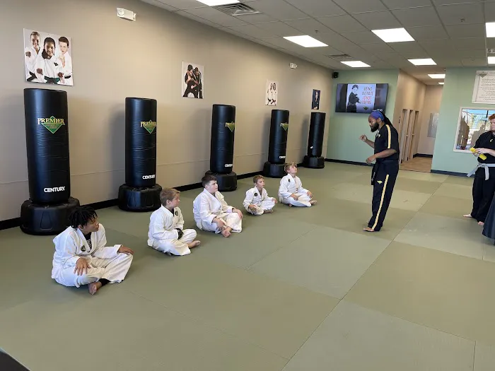 Premier Martial Arts Picture 1