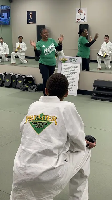 Premier Martial Arts Picture 2