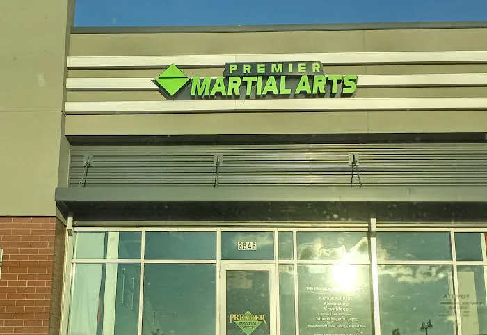 Premier Martial Arts Picture 7