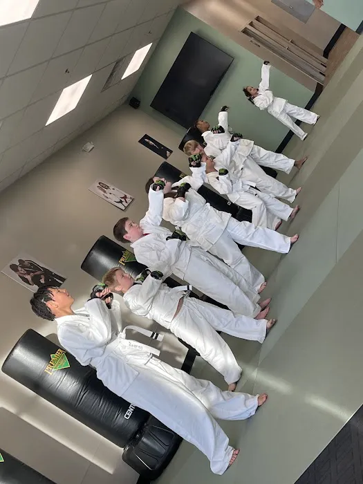 Premier Martial Arts Picture 3