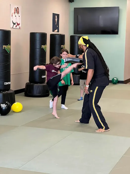 Premier Martial Arts Picture 5