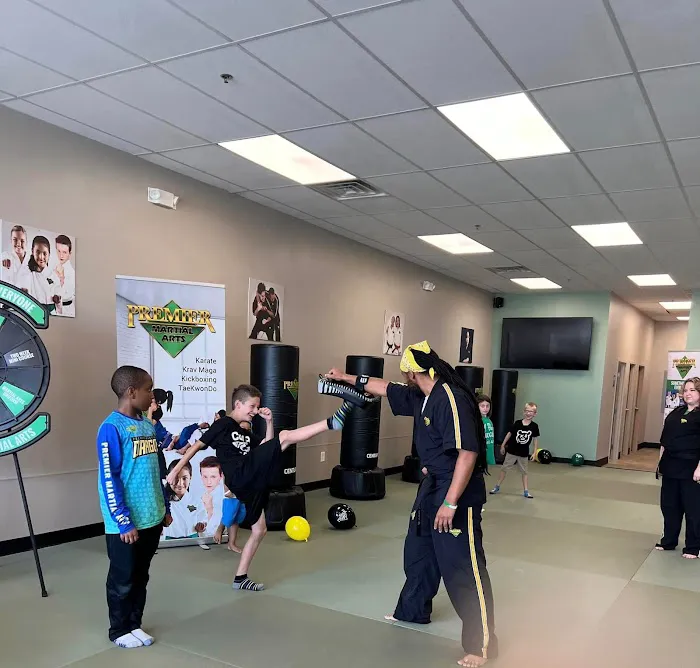 Premier Martial Arts Picture 8