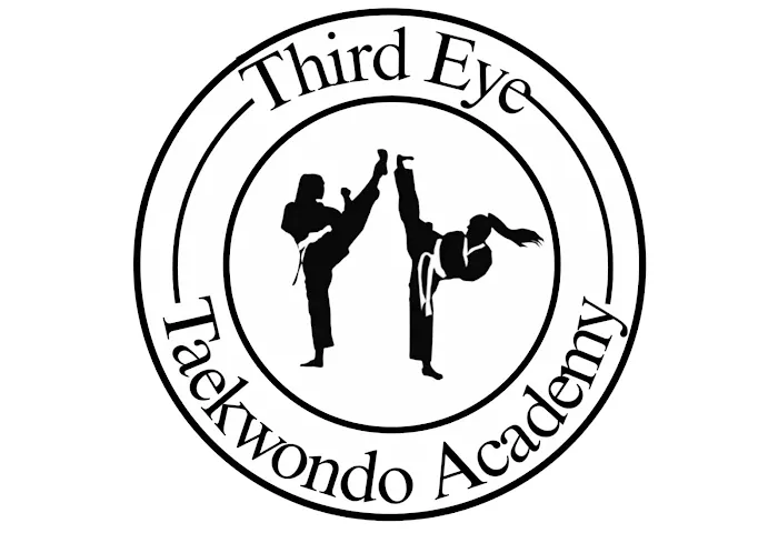 Third Eye Taekwondo Academy Picture 1