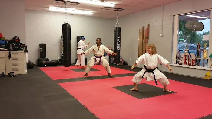 Thomas Karate Academy Picture 2