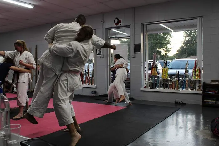 Thomas Karate Academy Picture 7