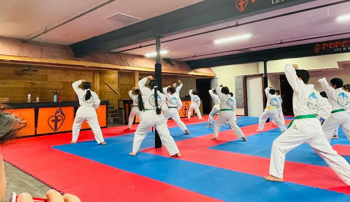 Himalayan Taekwondo KY Picture 2