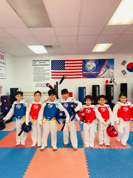 Himalayan Taekwondo KY Picture 4