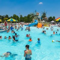 Northeast Family YMCA ico