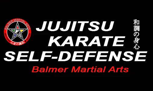 Balmer Martial Arts Picture 2