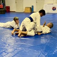 Louisville Panthers Taekwondo ico