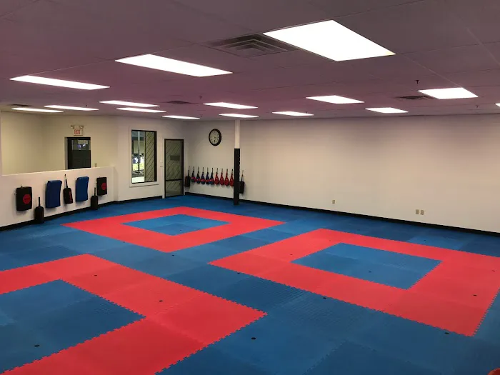 Twyman Taekwondo Academy Picture 6