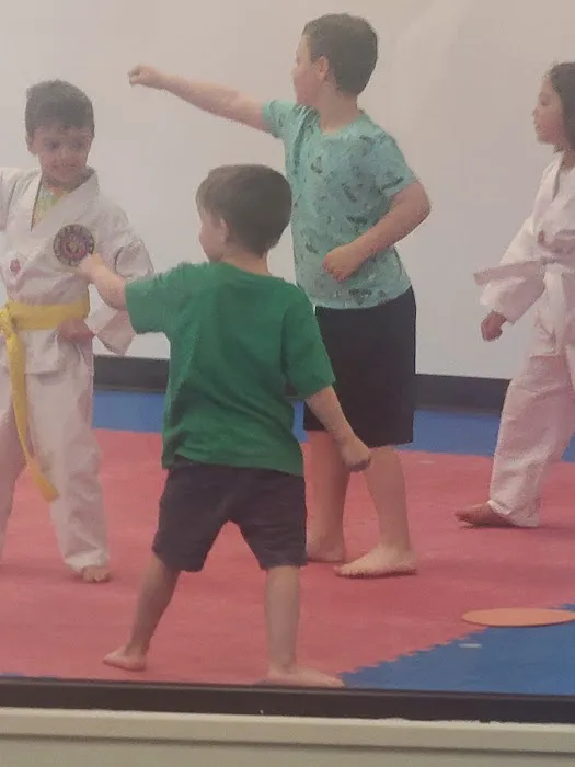 Twyman Taekwondo Academy Picture 7