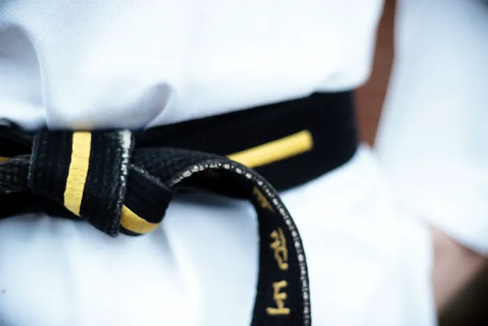 Twyman Taekwondo Academy Picture 5