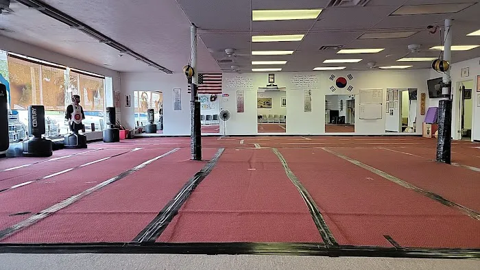 Three Dragons Martial Arts Academy Picture 2