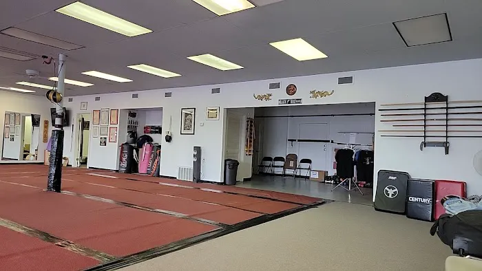 Three Dragons Martial Arts Academy Picture 1