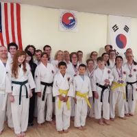 Traditional Ways Tae Kwon Do ico