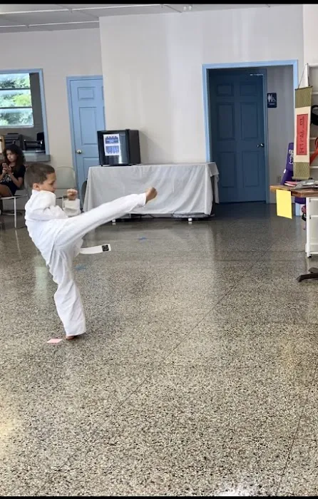 Travis Martial Arts Studio Picture 5