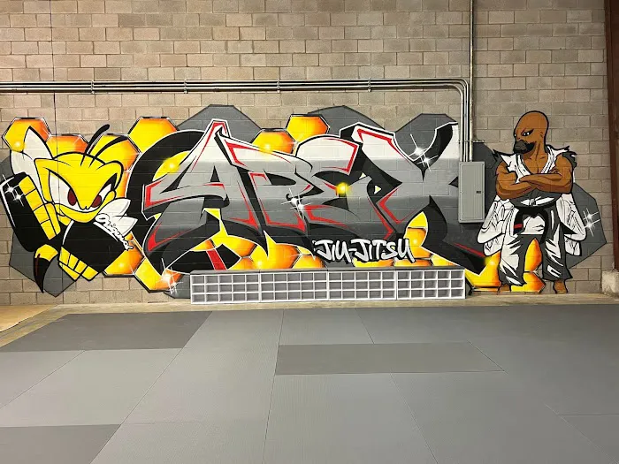 Apex Martial Arts Academy Picture 6