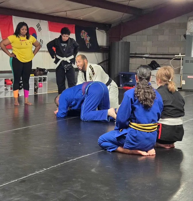 Apex Martial Arts Academy Picture 4