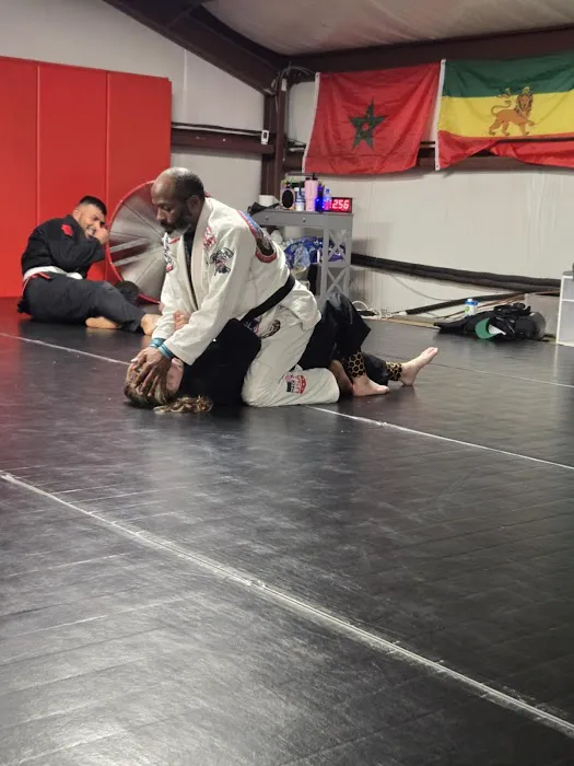 Apex Martial Arts Academy Picture 2