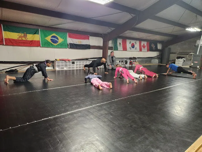 Apex Martial Arts Academy Picture 3