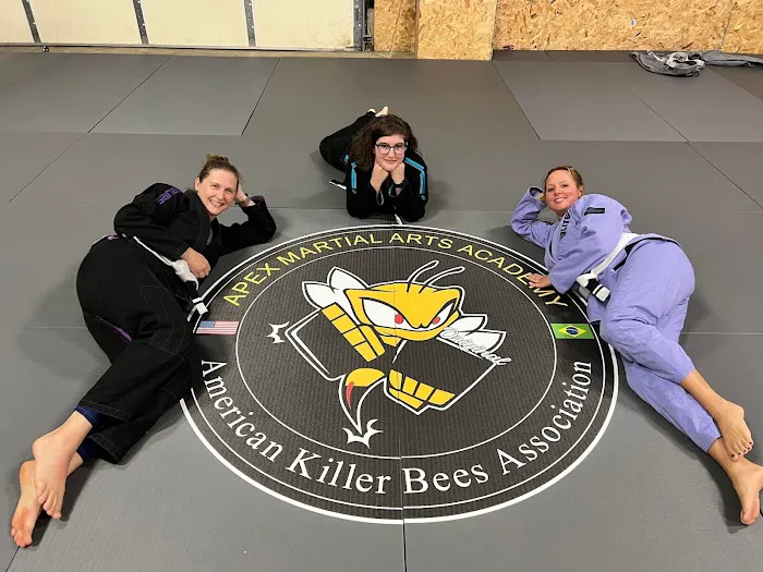 Apex Martial Arts Academy Picture 8