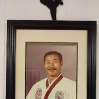 Y-Lee's Martial Arts ico