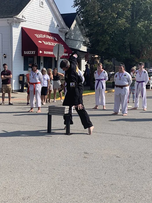 Y-Lee's Martial Arts Picture 4