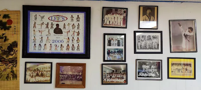 Y-Lee's Martial Arts Picture 5