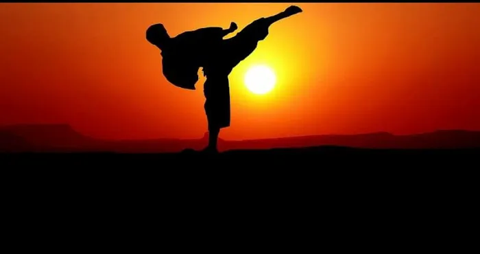 Y-Lee's Martial Arts Picture 7