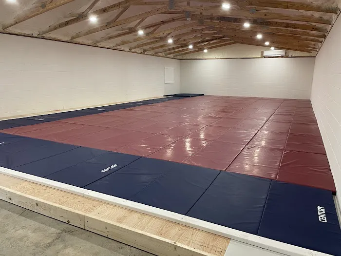 Toshi Dojo Judo Club Picture 4