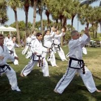 Primm's Taekwon-Do ico