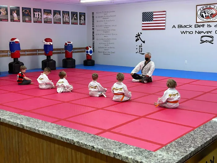 Yong In Martial Arts East Nashville Picture 2