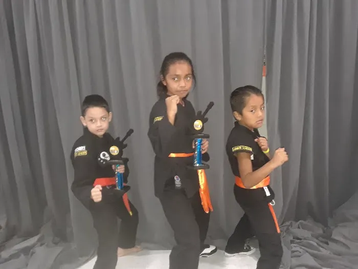 Mac's KungFu Institute Picture 7