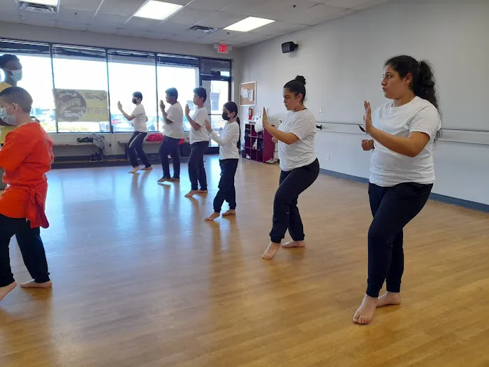 Mac's KungFu Institute Picture 3