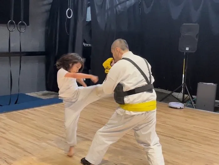 World Oyama Karate Picture 1