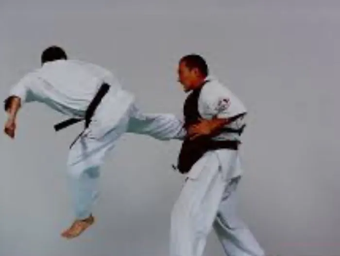 World Oyama Karate Picture 7