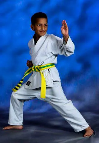 Aregis' Community Taekwondo Picture 3