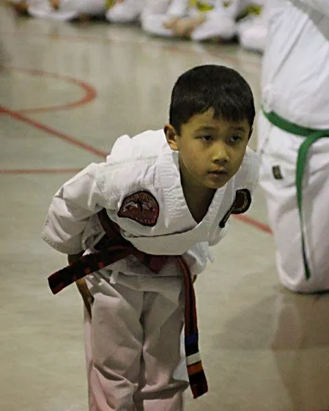 Aregis' Community Taekwondo Picture 1