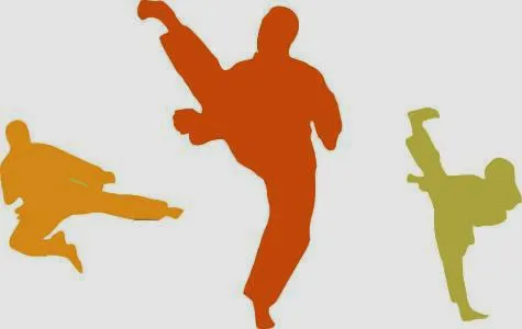 Aregis' Community Taekwondo Picture 5