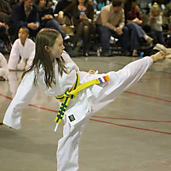 Aregis' Community Taekwondo Picture 4