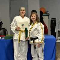 Vision Taekwondo ico