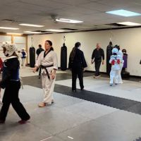 KSA Martial Academy ico